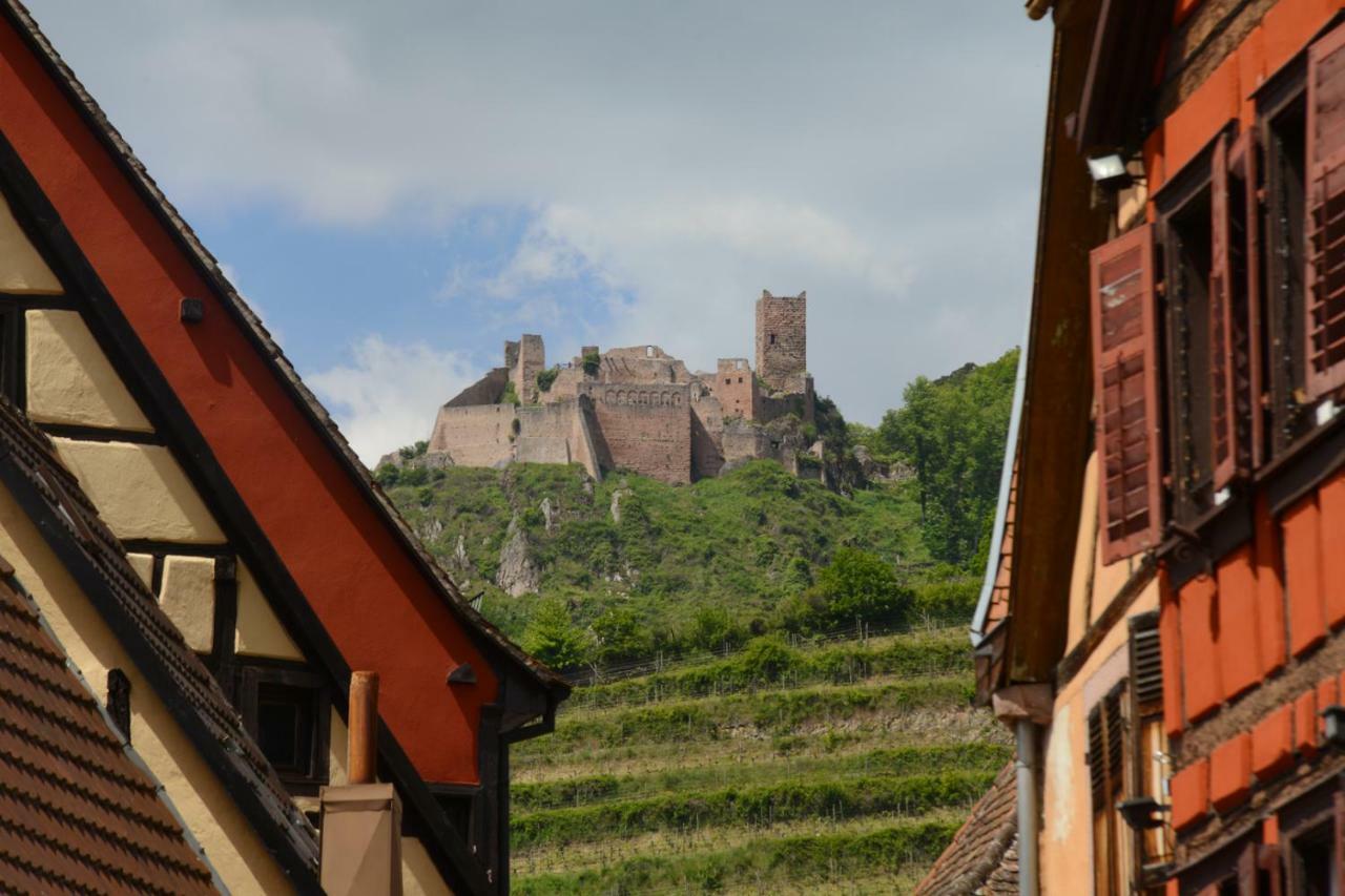Ribeauville City Center - Gite Des Menetriers, Le Tokay - Exteriör bild